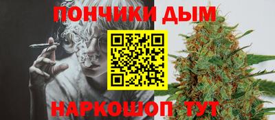 шишки Кохма