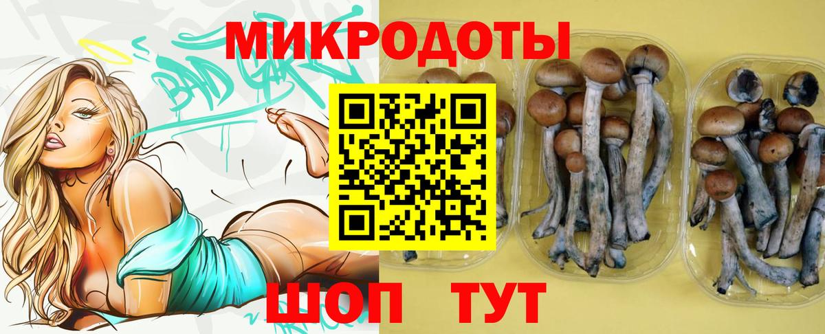 Псилоцибиновые грибы мухоморы Корсаков